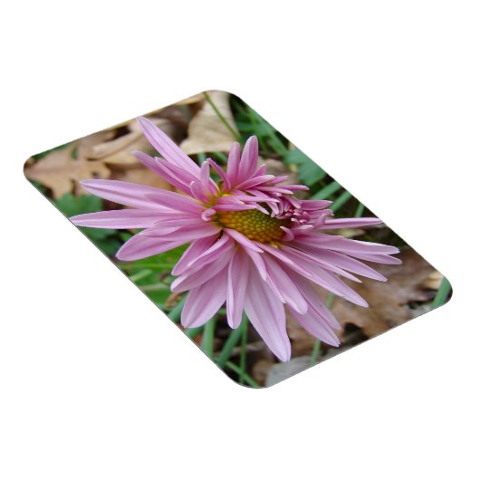 Roze gootsteen magneet (Rechterzijde)