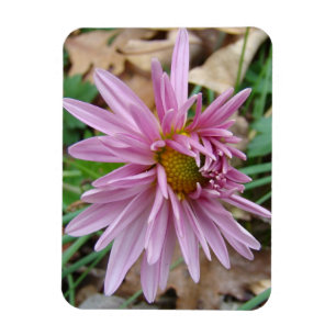 Roze gootsteen magneet