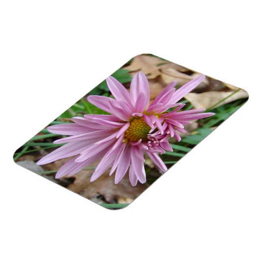 Roze gootsteen magneet (Linkerzijde)