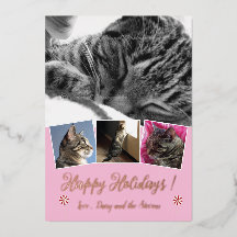 Roze Goud Folie Kat Foto Collage Roze Vakantiekaar