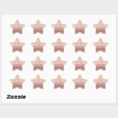 Roze Goud Glam Slierten Ster Sticker (Vel)