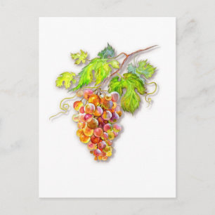 Roze Gouden Druiven – Botanische Aquarel Briefkaart