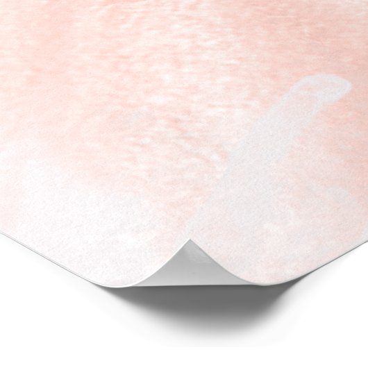 Roze Gouden Jurk Quinceañera 15e Verjaardag Achter Poster (Hoek)