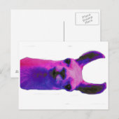 Roze grafische Llama Briefkaart (Voorkant / Achterkant)