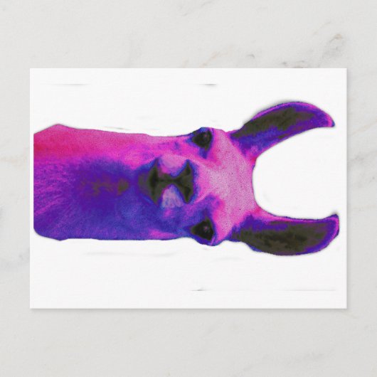 Roze grafische Llama Briefkaart (Voorkant)