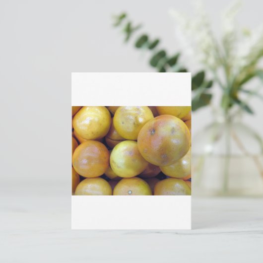 Roze grapefruit briefkaart (Staand voorkant)