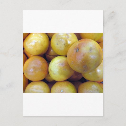 Roze grapefruit briefkaart (Voorkant)