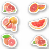 Roze Grapefruit Stickers (Voorkant)