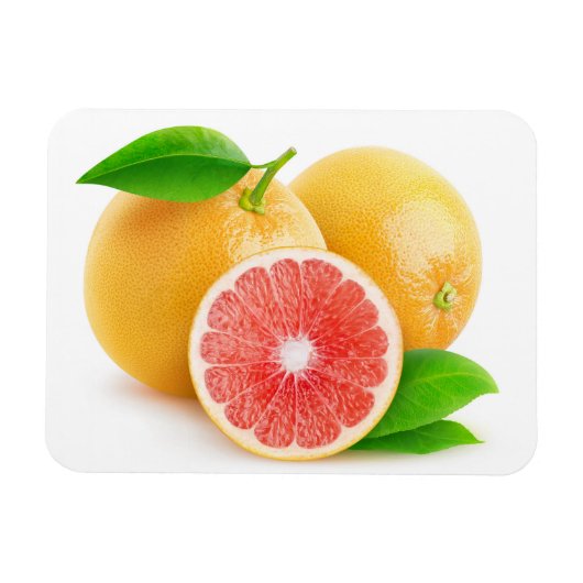 Roze grapefruits magneet (Horizontaal)