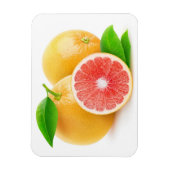 Roze grapefruits magneet (Verticaal)