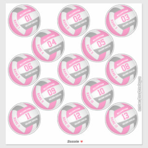 roze grijs 13 douanespelers volleyball sticker