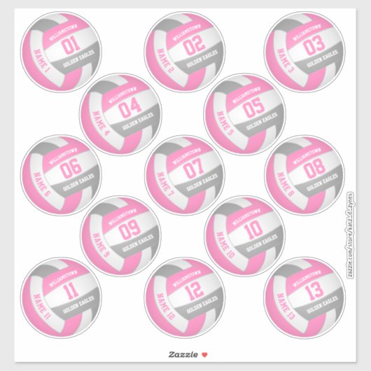 roze grijs 13 douanespelers volleyball sticker (Vel)