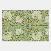  Roze Grijs Botanische Bloemen Inpakpapier Vel (Voorkant 2)