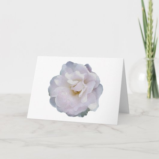 Roze grijze roos kaart (Voorkant)