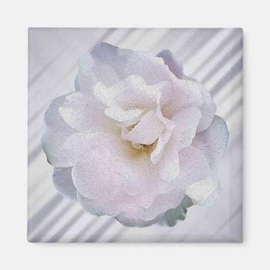 Roze grijze roos magneet (Voorkant)