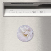 Roze grijze roos magneet (Insitu (Vaatwasser))