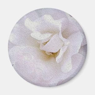 Roze grijze roos magneet