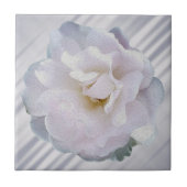 Roze grijze roos tegeltje (Voorkant)