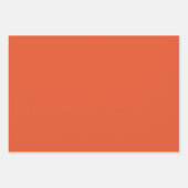 Roze, Groen en Sinaasappel Bloemen en Patroon Inpakpapier Vel (Voorkant 2)