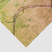 Roze Groen Noodlijdende Pop Art Abstract Bloemen Tissuepapier (Detail)