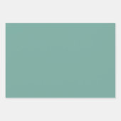  roze groen ventilatorpatroon inpakpapier vel (Voorkant 2)