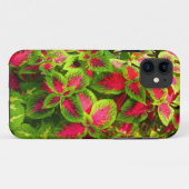 Roze groene Coleus Flower Phone Case (Achterkant (horizontaal))