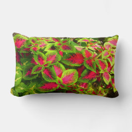 Roze groene coleus flower Pillow Kussen