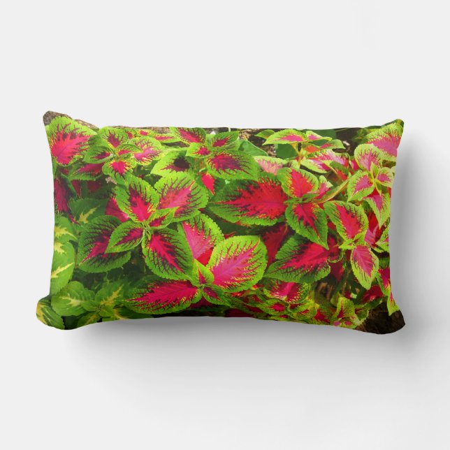 Roze groene coleus flower Pillow Kussen (Voorkant)
