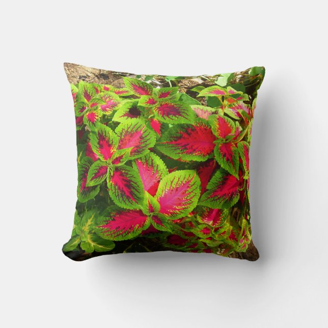 Roze groene coleus tropische kussen (Voorkant)