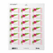 Roze Groene Daisy Polka Dots Retouradres Labels (Full Sheet)