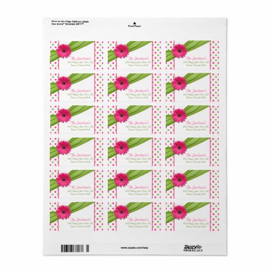 Roze Groene Daisy Polka Dots Retouradres Labels (Full Sheet)