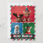 Roze Groene Retro Merry Woofmas Fotocollage Feestdagenkaart (Voorkant)