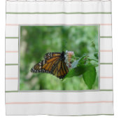 Roze groene strepen Monarch Butterfly Douchegordijn (Voorkant)
