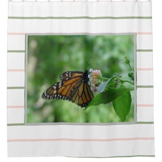 Roze groene strepen Monarch Butterfly Douchegordijn (Voorkant)