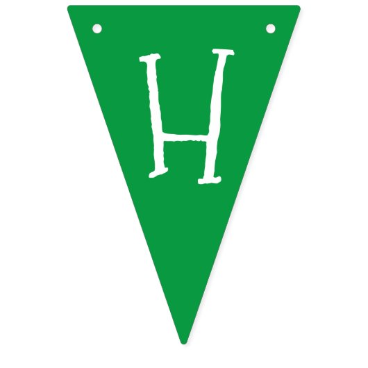 Roze Groene Watermeloen Slice Verjaardagsfeestje P Vlaggetjes (Tweede vlag)