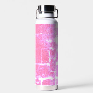 Roze Grunge baksteen Roestvrij stalen fles