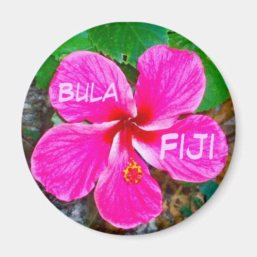 Roze Habiscus magneet (Voorkant)