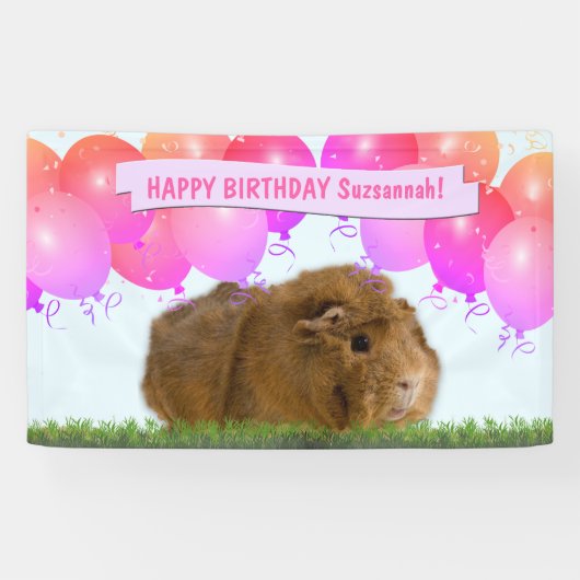 Roze Happy Birthday Balloons Ginger Guinea Pig Ba Spandoek (Horizontaal)