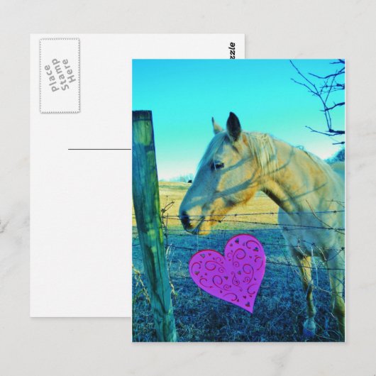 Roze hart en gele paarden briefkaart (Voorkant / Achterkant)