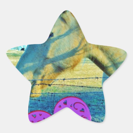 Roze hart en gele paarden ster sticker (Voorkant)