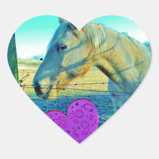 Roze hart en gele paarden sticker (Voorkant)