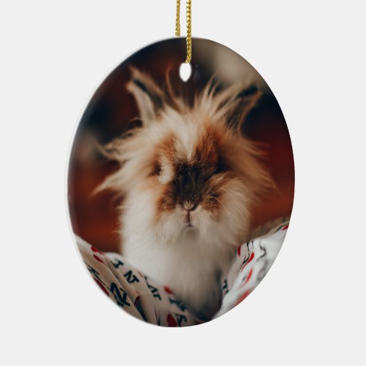 Roze Hart Konijnenpoten Nooit vergeten Memorial Keramisch Ornament (Rechts)