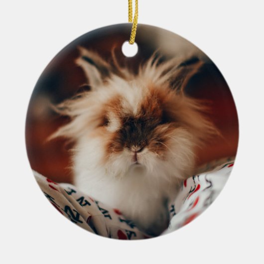 Roze Hart Konijnenpoten Nooit vergeten Memorial Keramisch Ornament (Voorkant)