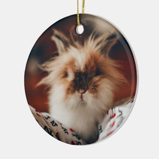 Roze Hart Konijnenpoten Nooit vergeten Memorial Keramisch Ornament (Links)