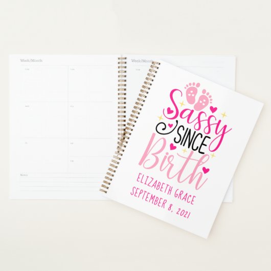 Roze harten geboorte slap sinds geboorte Baby Planner (Display)