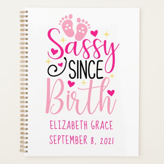 Roze Hartjes Geboorte Stats Sassy Van Geboorte Bab Planner (Voorkant)