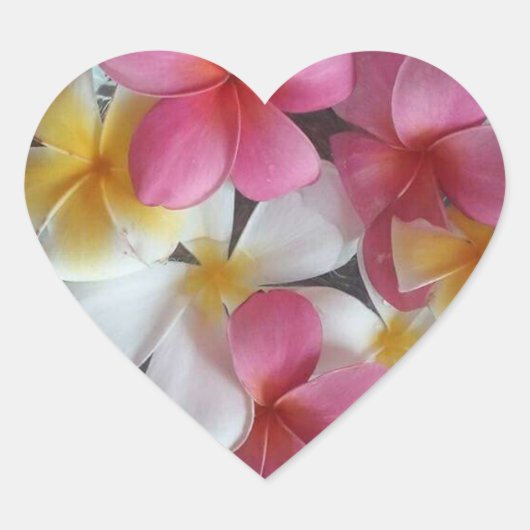Roze, hartvormige Plumeria bloem stickers (Voorkant)