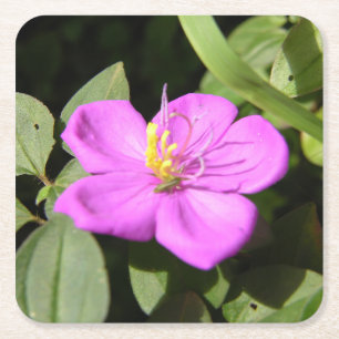 Roze Hawaiiaanse Plumeria Poster Nep Canvas Print Kartonnen Onderzetters