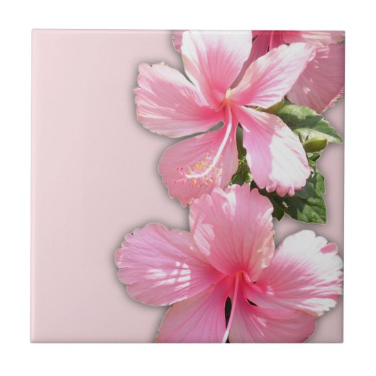 Roze Hawaiian Hibiscus Flowers Tile Tegeltje (Voorkant)