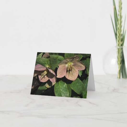 Roze Hellebore Notitiekaartje (Voorkant)
